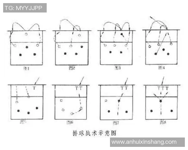 南京排球队灵活性分析与战术适应性研究探讨